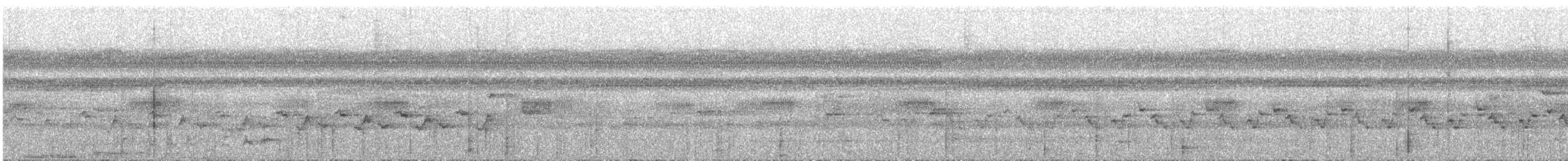 Gray Longbill - ML647521453