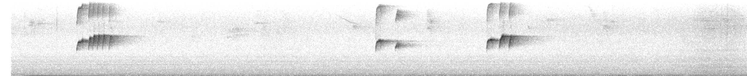 Tropical Kingbird - ML647521806