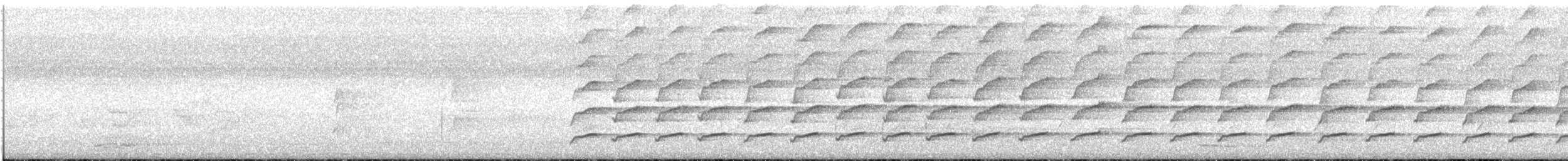 Noisy Miner - ML647521980