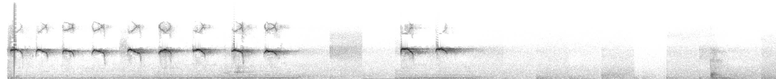 Großschwanzgrackel - ML647523459