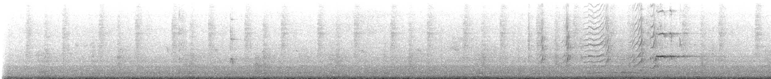 Großschwanzgrackel - ML647524350