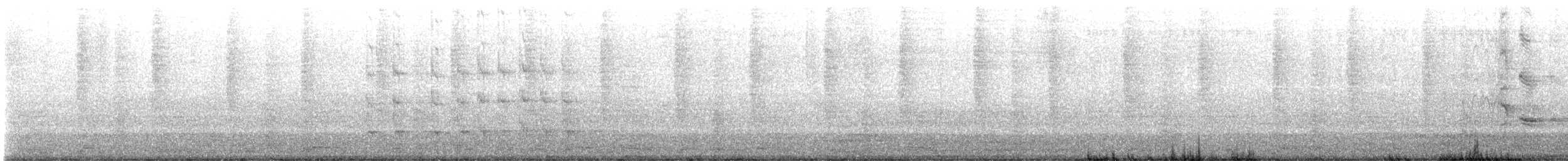 Großschwanzgrackel - ML647524351