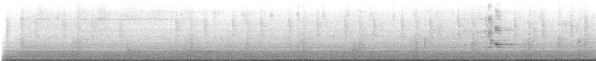 Großschwanzgrackel - ML647524352