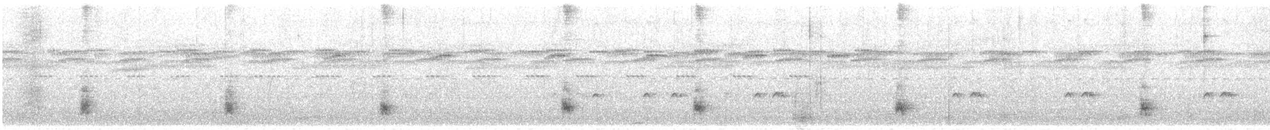 Grauband-Ameisenvogel - ML647524518