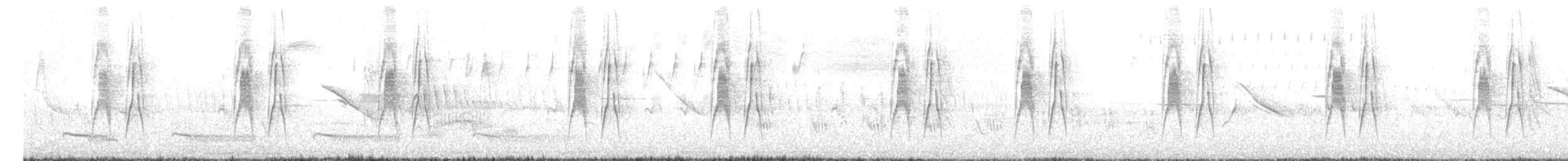 Weißbauch-Dickichtschlüpfer - ML647524705