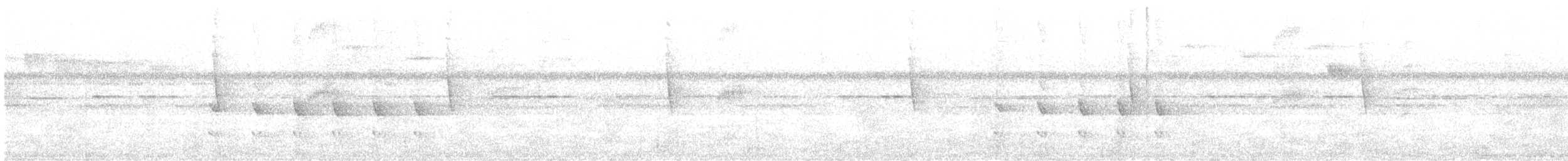 Olivbauch-Baumspäher - ML647524789