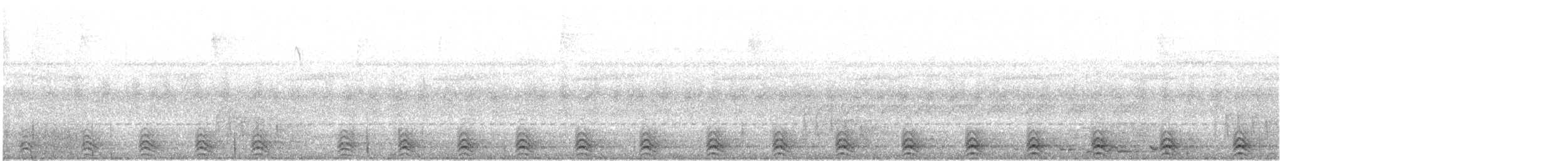 Schieferschwanztrogon (massena/hoffmanni) - ML647524955