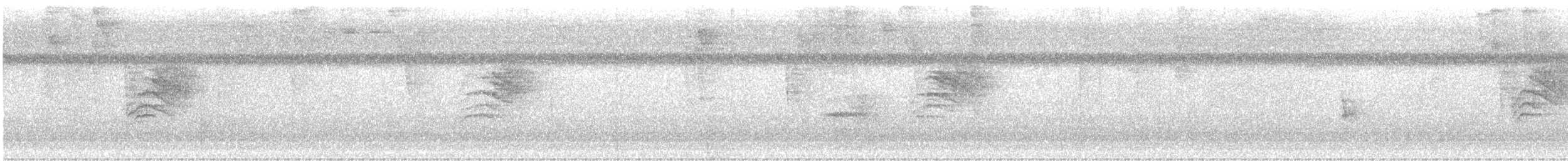 White-browed Gnatcatcher - ML647525393