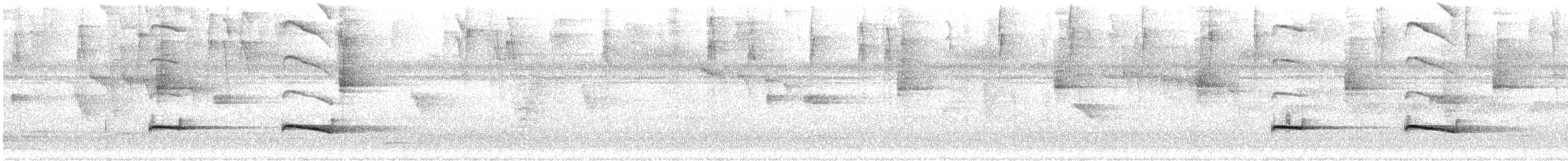 Chestnut-backed Antbird - ML647525495