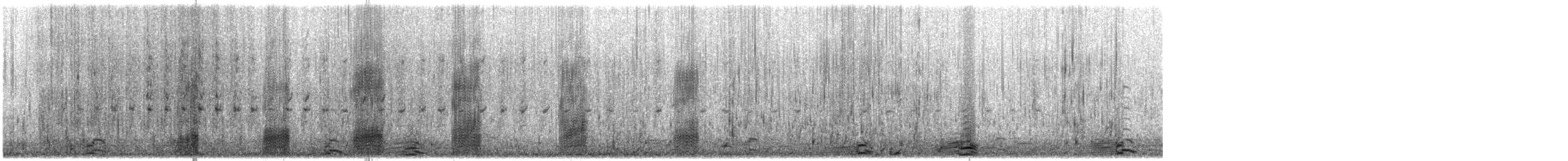 American Black Duck - ML647525769