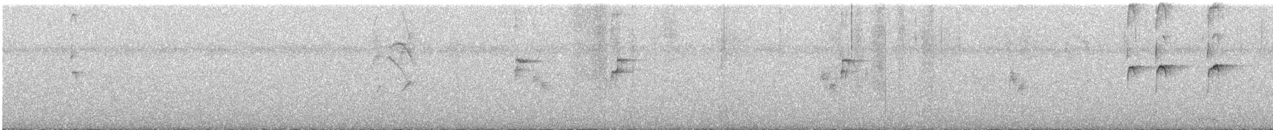 Solitary Sandpiper - ML647525819