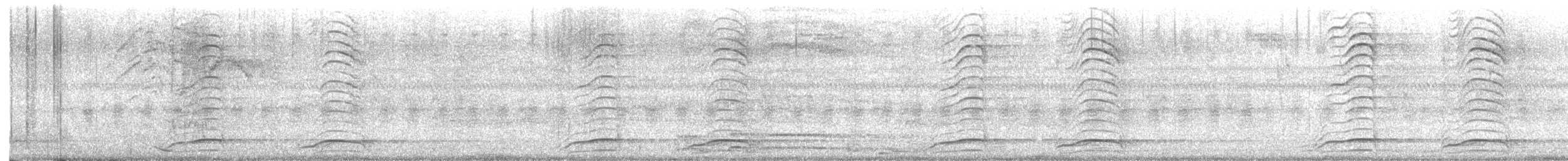 Halcón Reidor - ML647525852