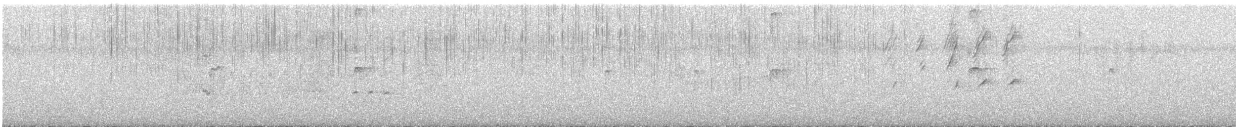 Zanate Caribeño - ML647525862