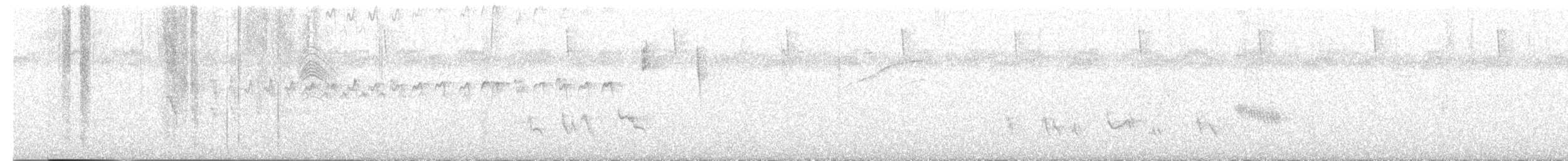 Andarríos Solitario - ML647525899