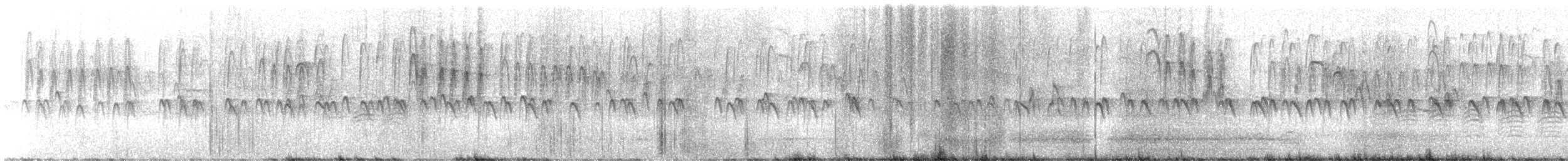 Trepador Enano - ML647526070