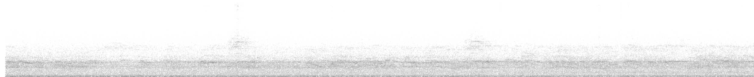 Red-crowned Amazon - ML647526434