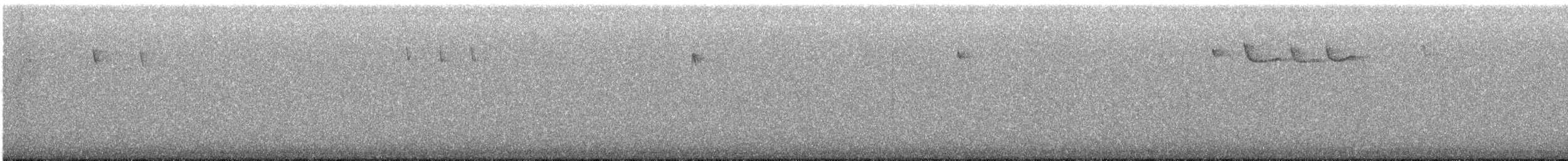 Agateador Americano - ML647527915