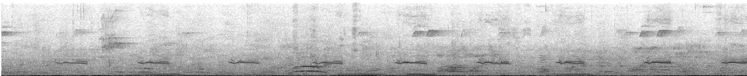 Silbador Cabezón Oriental - ML647527962