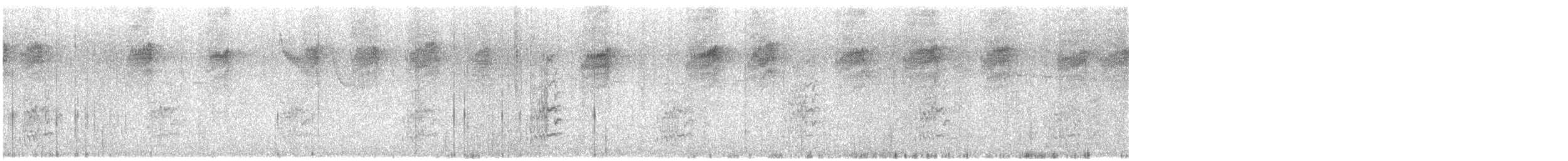 Catita Barrada - ML647528200