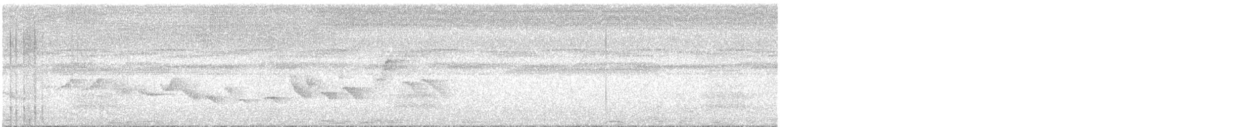 Chestnut-bellied Seed-Finch - ML647529907