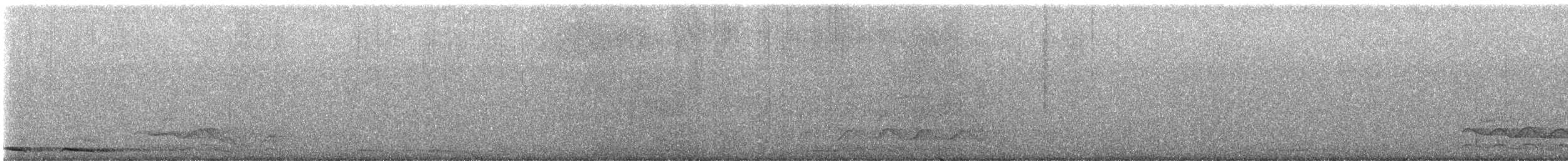 Morepork - ML647529979