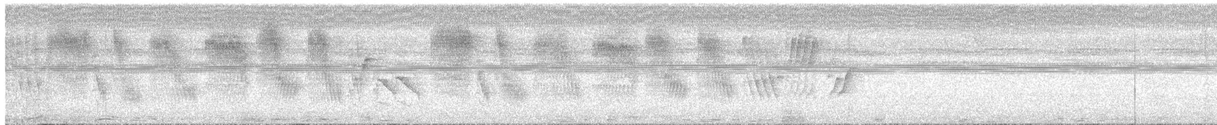 Chestnut-bellied Seed-Finch - ML647529984