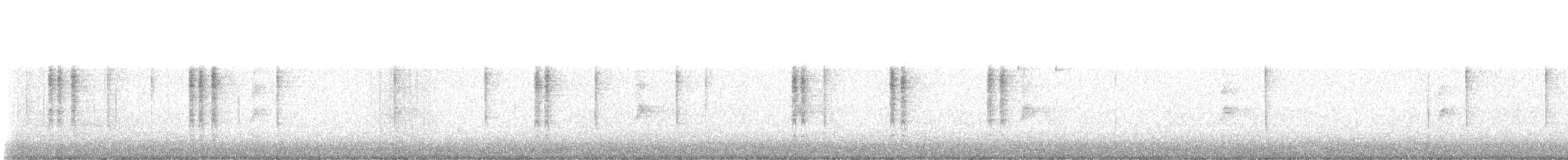 králíček americký - ML647531009