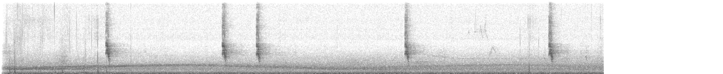 Northern Mockingbird - ML647531370