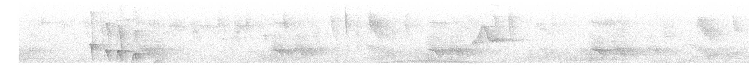 Lesser Woodcreeper - ML647531997