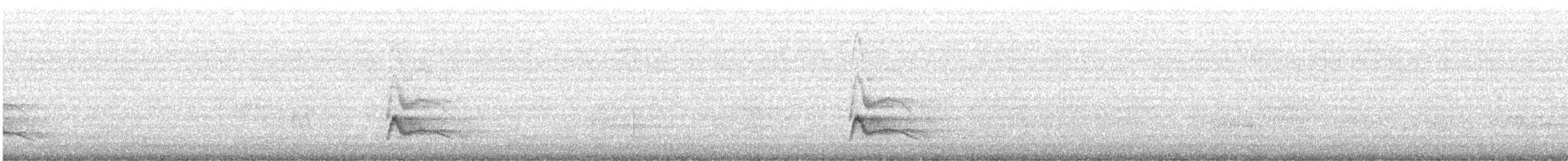 White-crested Elaenia - ML647532131