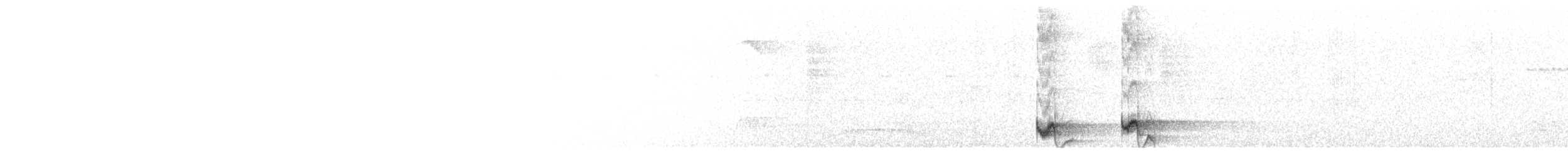 Swallow-tailed Manakin - ML647532416