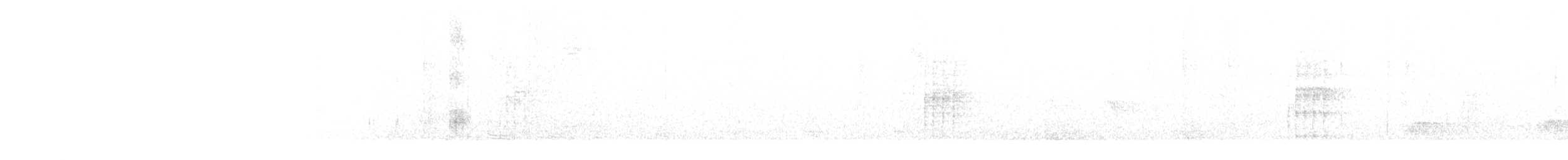 Eye-ringed Tody-Tyrant - ML647532475