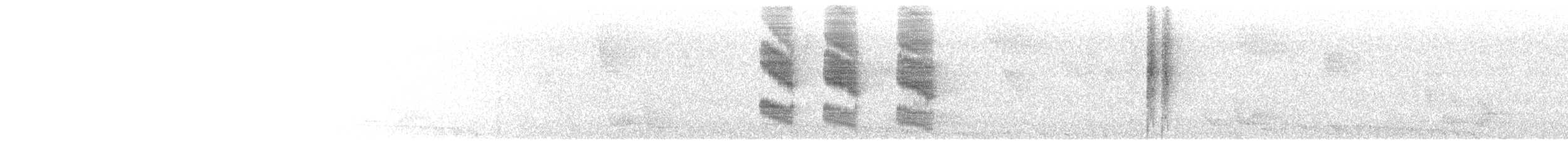 Star-throated Antwren - ML647532565