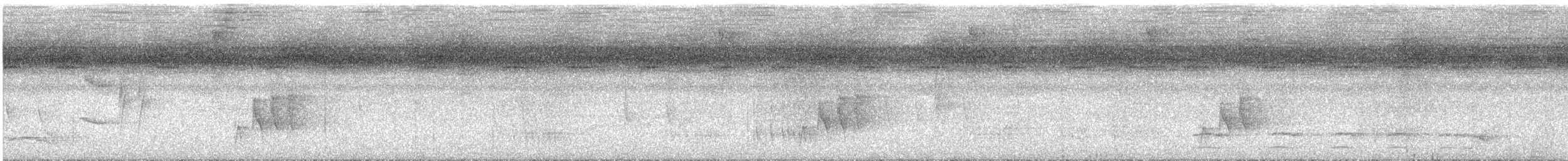 Cinereous Antshrike - ML647532736