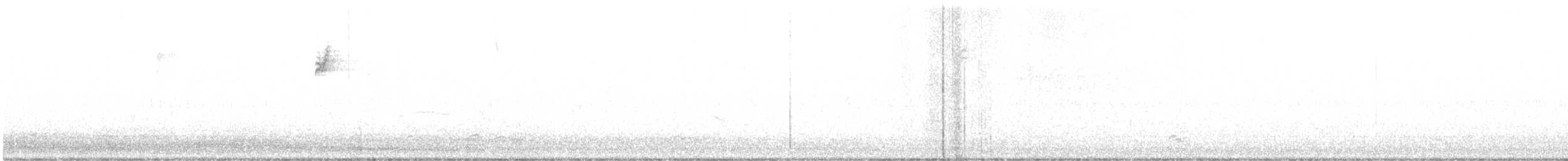 Snow Goose - ML647532935