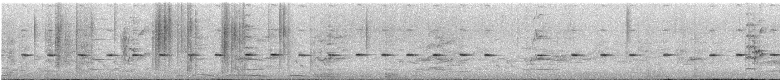 Eastern Spinebill - ML647532969