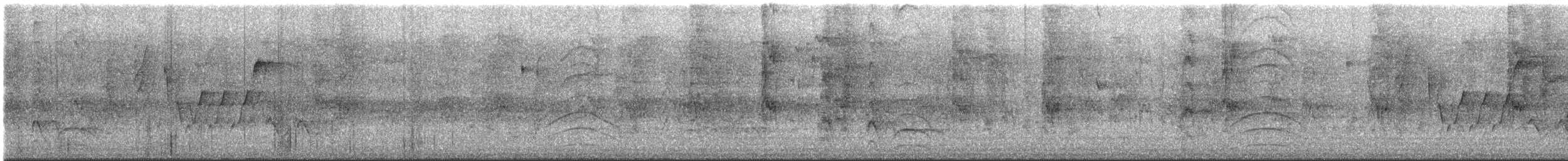 Great Kiskadee - ML647533003