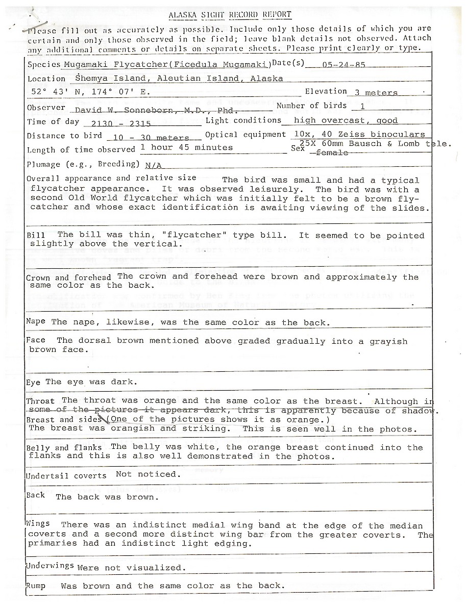 Gobemouche mugimaki - ML647533027