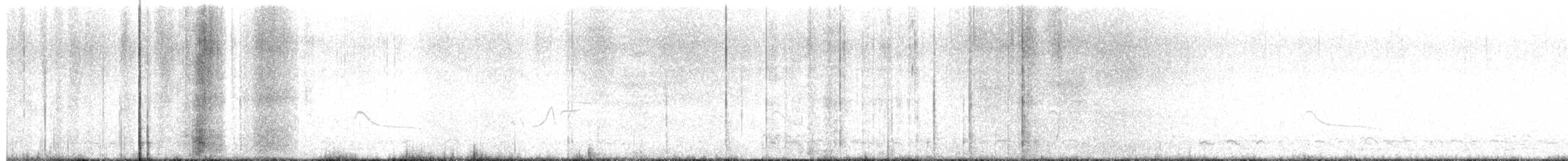 Say's Phoebe - ML647533187