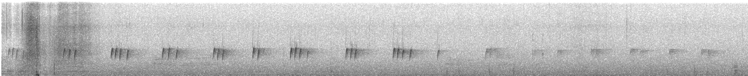 Carolina Wren - ML647533232