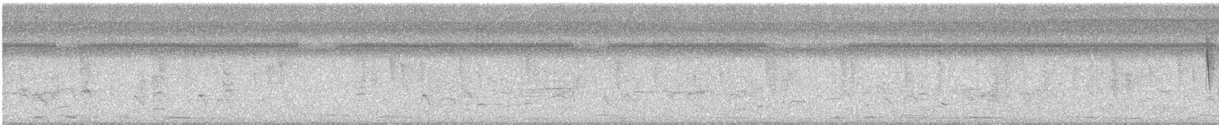 hrdlička bělavokřídlá - ML647533415