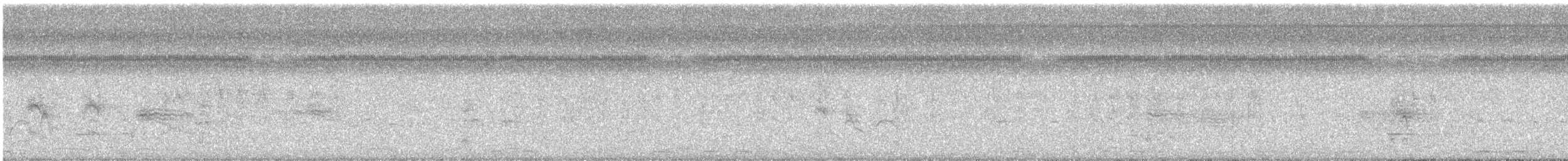 hrdlička bělavokřídlá - ML647533416