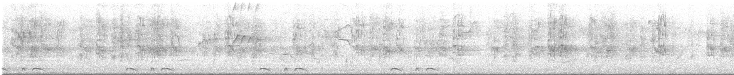 holoubek šupinkový - ML647533419