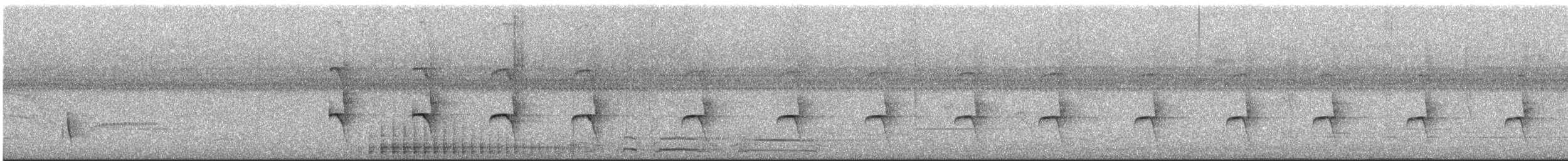 leskovec neotropický - ML647533425