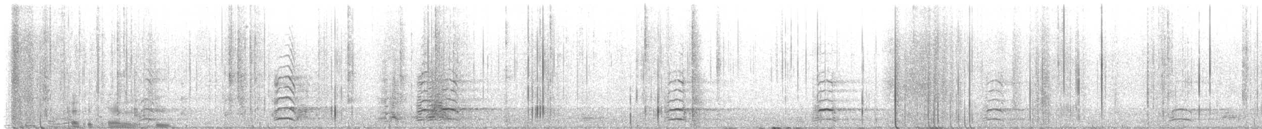 snøgås - ML647533581