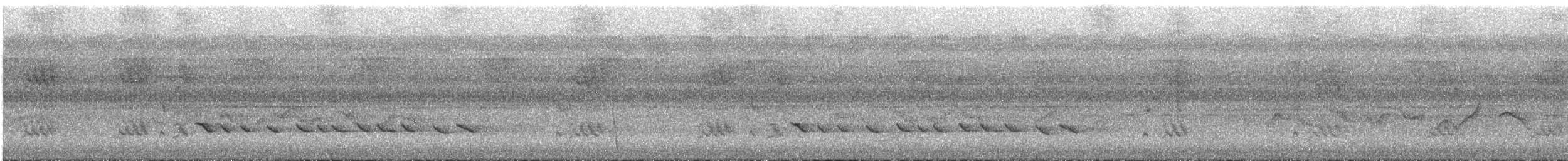 Bulbul d'Halmahera - ML647535810