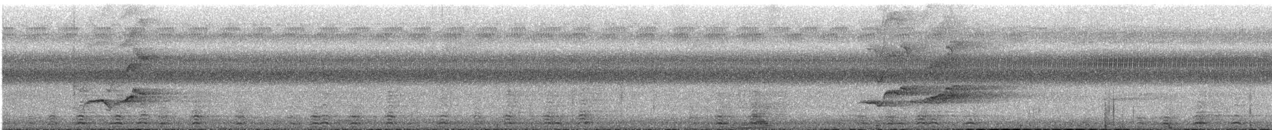 Prachtlori - ML647535970