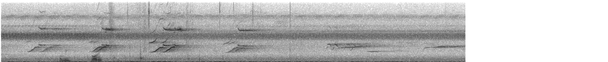 Prachtlori - ML647536070