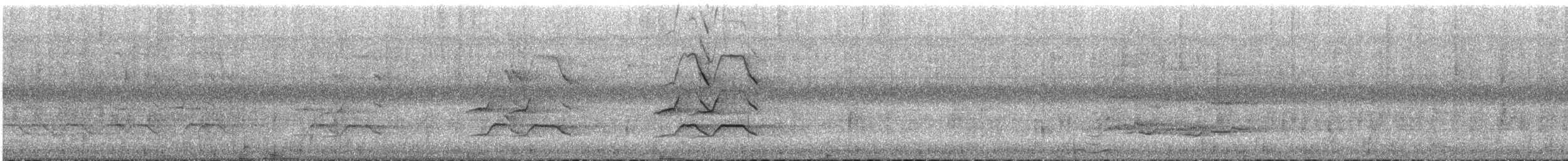 Prachtlori - ML647536110