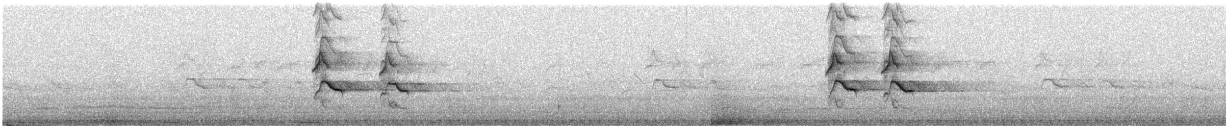 Chiguanco Thrush - ML647536123